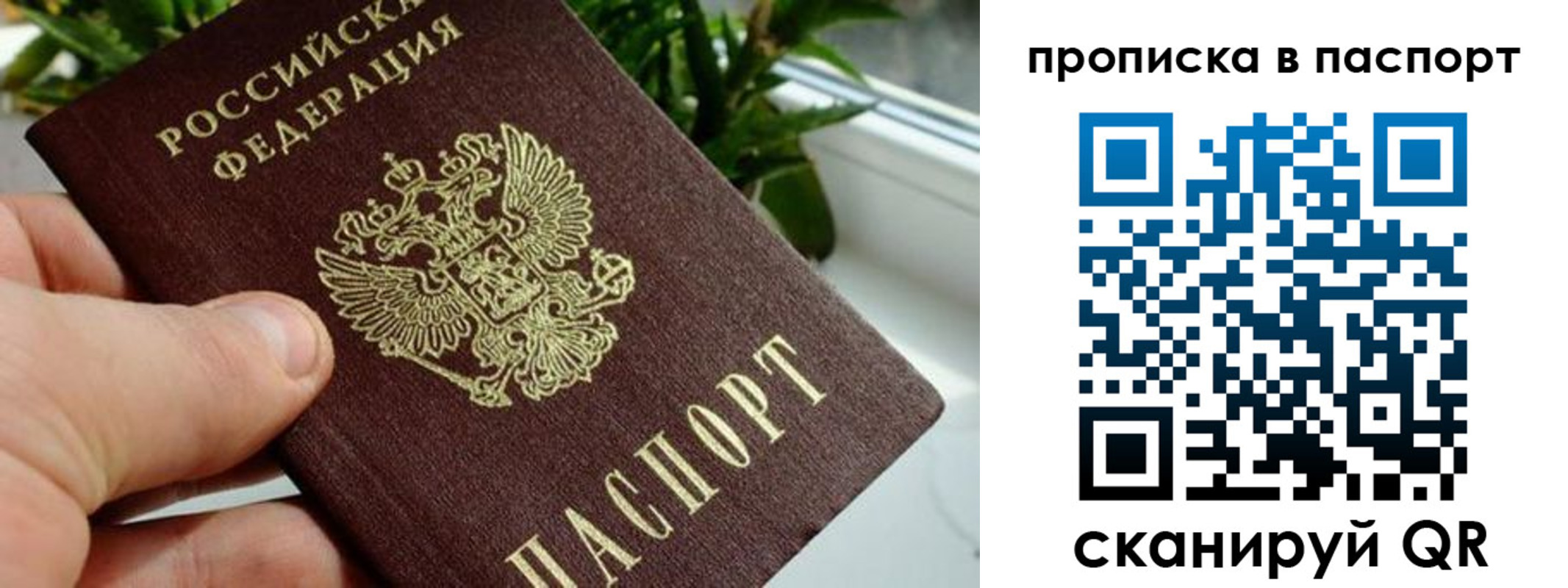 временная регистрация поиск в Кашине